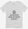Cute American Hairless Terrier Dog Breed Womens Vneck Shirt 666x695.jpg?v=1700512925