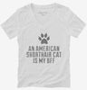 Cute American Shorthair Cat Breed Womens Vneck Shirt 666x695.jpg?v=1700429018