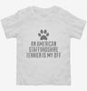 Cute American Staffordshire Terrier Dog Breed Toddler Shirt 666x695.jpg?v=1700499723