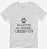 Cute American Staffordshire Terrier Dog Breed Womens Vneck Shirt 666x695.jpg?v=1700499723