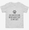 Cute American Wirehair Cat Breed Toddler Shirt 666x695.jpg?v=1700429067