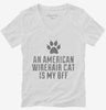 Cute American Wirehair Cat Breed Womens Vneck Shirt 666x695.jpg?v=1700429067