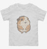 Cute Baby Guinea Pig Toddler Shirt 666x695.jpg?v=1700300780