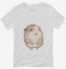 Cute Baby Guinea Pig Womens Vneck Shirt 666x695.jpg?v=1700300780