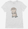 Cute Baby Otter Womens Shirt 666x695.jpg?v=1700300570