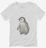 Cute Baby Penguin Womens Vneck Shirt 666x695.jpg?v=1700300354