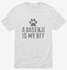 Cute Basenji Dog Breed Shirt 666x695.jpg?v=1700472096
