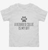 Cute Bearded Collie Dog Breed Toddler Shirt 666x695.jpg?v=1700476458