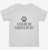 Cute Bedlington Terrier Dog Breed Toddler Shirt 666x695.jpg?v=1700468067