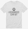 Cute Bergamasco Dog Breed Shirt 666x695.jpg?v=1700506231