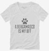 Cute Bergamasco Dog Breed Womens Vneck Shirt 666x695.jpg?v=1700506231