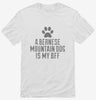 Cute Bernese Mountain Dog Breed Shirt 666x695.jpg?v=1700496084