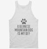 Cute Bernese Mountain Dog Breed Tanktop 666x695.jpg?v=1700496084