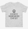 Cute Bernese Mountain Dog Breed Toddler Shirt 666x695.jpg?v=1700496084