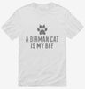 Cute Birman Cat Breed Shirt 666x695.jpg?v=1700429253