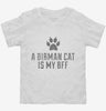 Cute Birman Cat Breed Toddler Shirt 666x695.jpg?v=1700429253