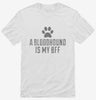Cute Bloodhound Terrier Dog Breed Shirt 666x695.jpg?v=1700467360