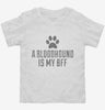 Cute Bloodhound Terrier Dog Breed Toddler Shirt 666x695.jpg?v=1700467360