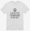 Cute Bluetick Coonhound Dog Breed Shirt 666x695.jpg?v=1700483878