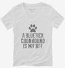 Cute Bluetick Coonhound Dog Breed Womens Vneck Shirt 666x695.jpg?v=1700483878