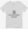 Cute Boykin Spaniel Dog Breed Womens Vneck Shirt 666x695.jpg?v=1700495453