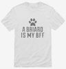 Cute Briard Dog Breed Shirt 666x695.jpg?v=1700479879