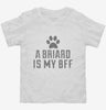 Cute Briard Dog Breed Toddler Shirt 666x695.jpg?v=1700479879
