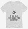 Cute British Longhair Cat Breed Womens Vneck Shirt 666x695.jpg?v=1700429348