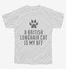 Cute British Longhair Cat Breed Youth