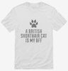 Cute British Shorthair Cat Breed Shirt 666x695.jpg?v=1700429388