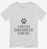 Cute British Shorthair Cat Breed Womens Vneck Shirt 666x695.jpg?v=1700429388