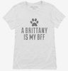 Cute Brittany Dog Breed Womens Shirt 666x695.jpg?v=1700509437