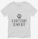 Cute Brittany Dog Breed white Womens V-Neck Tee