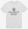 Cute Bullmastiff Dog Breed Shirt 666x695.jpg?v=1700509921