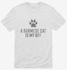 Cute Burmese Cat Breed Shirt 666x695.jpg?v=1700429442