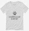 Cute Burmilla Cat Breed Womens Vneck Shirt 666x695.jpg?v=1700429482