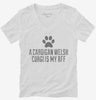 Cute Cardigan Welsh Corgi Dog Breed Womens Vneck Shirt 666x695.jpg?v=1700471755