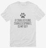 Cute Cavalier King Charles Spaniel Dog Breed Shirt 666x695.jpg?v=1700503777