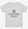 Cute Cesky Terrier Dog Breed Toddler Shirt 666x695.jpg?v=1700511901