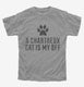 Cute Chartreux Cat Breed  Youth Tee