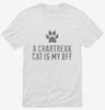 Cute Chartreux Cat Breed Shirt 666x695.jpg?v=1700429570