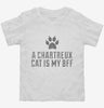 Cute Chartreux Cat Breed Toddler Shirt 666x695.jpg?v=1700429571