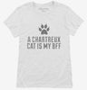 Cute Chartreux Cat Breed Womens Shirt 666x695.jpg?v=1700429570