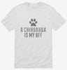 Cute Chihuahua Dog Breed Shirt 666x695.jpg?v=1700491111
