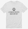 Cute Chinese Crested Dog Breed Shirt 666x695.jpg?v=1700498760