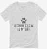 Cute Chow Chow Dog Breed Womens Vneck Shirt 666x695.jpg?v=1700475803