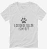 Cute Coton De Tulear Dog Breed Womens Vneck Shirt 666x695.jpg?v=1700472140