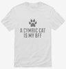 Cute Cymric Cat Breed Shirt 666x695.jpg?v=1700429703