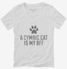 Cute Cymric Cat Breed Womens Vneck Shirt 666x695.jpg?v=1700429703
