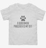 Cute Doberman Pinscher Dog Breed Toddler Shirt 666x695.jpg?v=1700513464